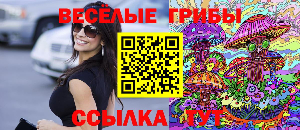 Каменск-Уральский  Галлюциногенные грибы Magic Shrooms  Галлюциногенные грибы прущие грибы  Вход с VPN 