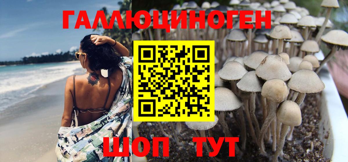 Псилоцибиновые грибы GOLDEN TEACHER Каменск-Уральский